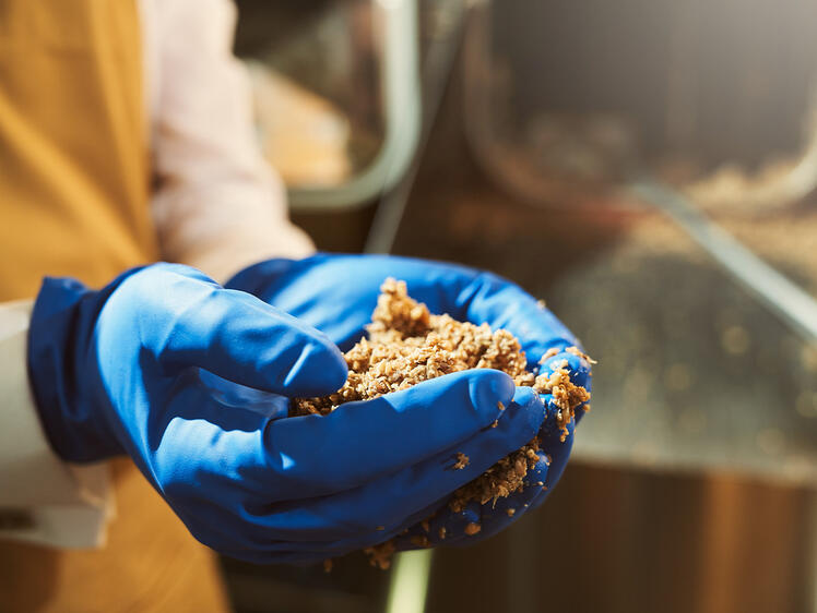 Destinação de Grãos